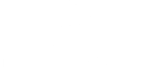 Brave Logo